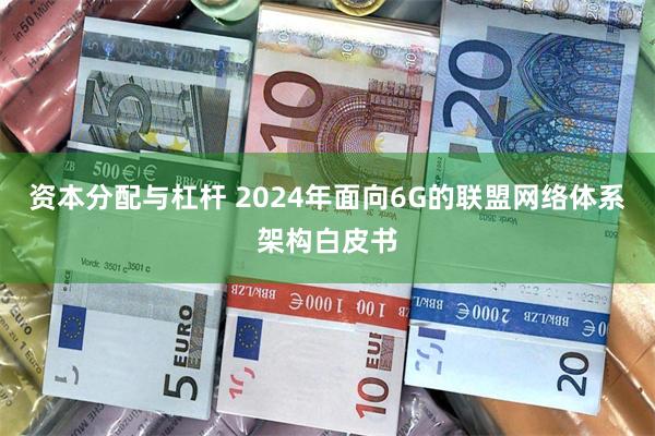 资本分配与杠杆 2024年面向6G的联盟网络体系架构白皮书