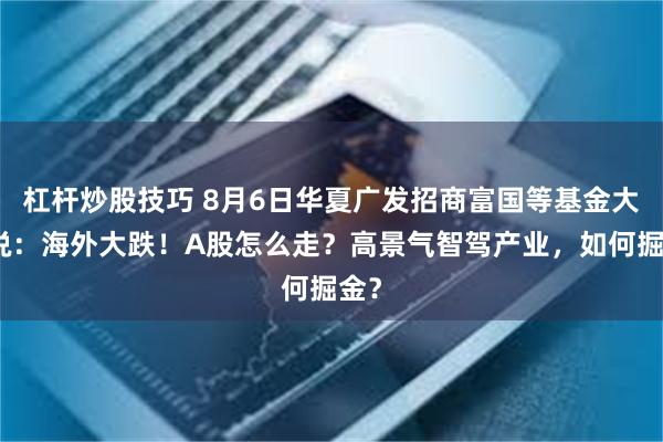 杠杆炒股技巧 8月6日华夏广发招商富国等基金大咖说：海外大跌！A股怎么走？高景气智驾产业，如何掘金？