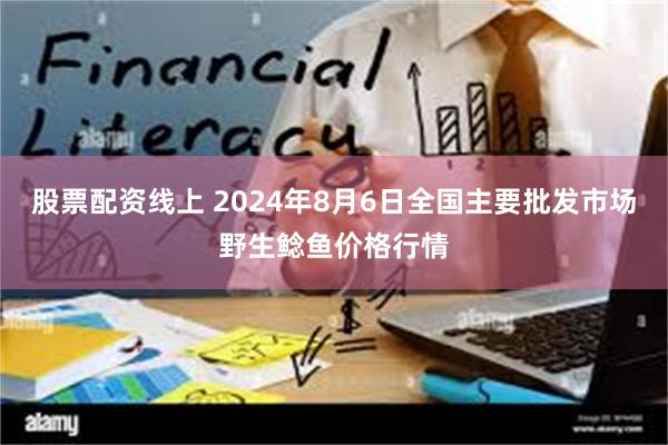 股票配资线上 2024年8月6日全国主要批发市场野生鲶鱼价格行情