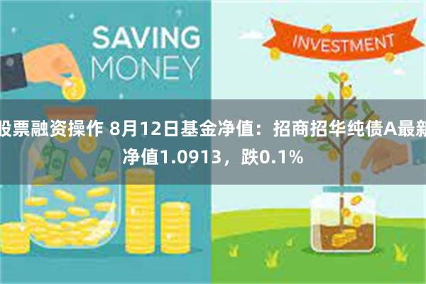 股票融资操作 8月12日基金净值：招商招华纯债A最新净值1.0913，跌0.1%