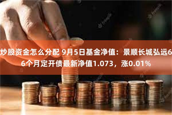 炒股资金怎么分配 9月5日基金净值：景顺长城弘远66个月定开债最新净值1.073，涨0.01%