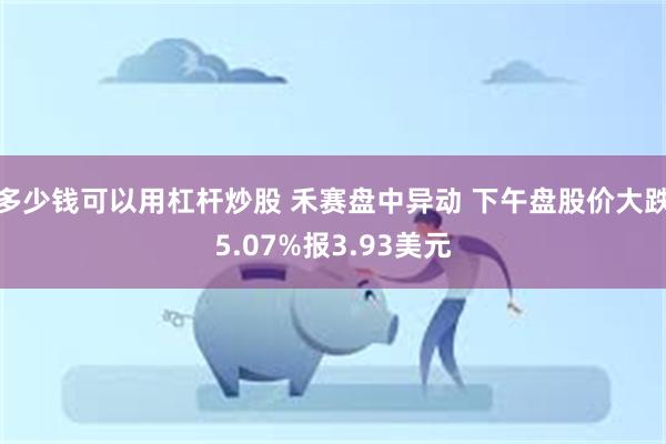 多少钱可以用杠杆炒股 禾赛盘中异动 下午盘股价大跌5.07%报3.93美元