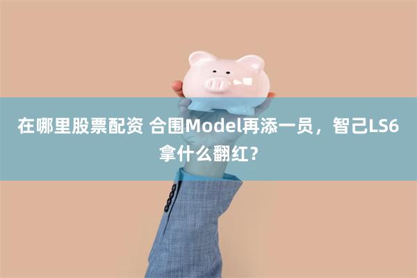 在哪里股票配资 合围Model再添一员，智己LS6拿什么翻红？