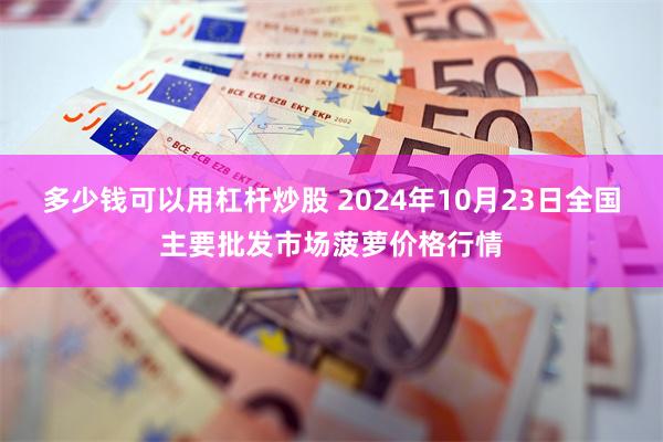 多少钱可以用杠杆炒股 2024年10月23日全国主要批发市场菠萝价格行情