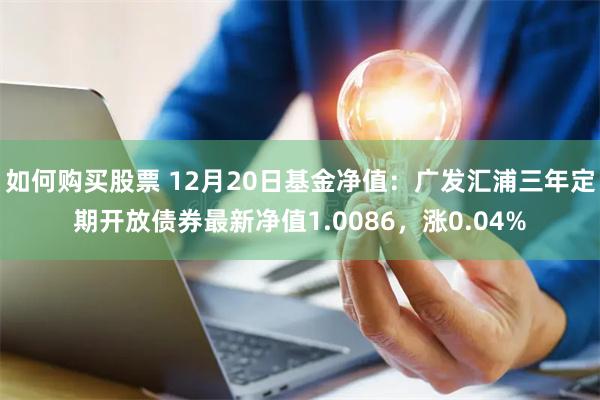 如何购买股票 12月20日基金净值：广发汇浦三年定期开放债券最新净值1.0086，涨0.04%