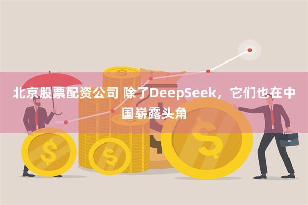 北京股票配资公司 除了DeepSeek，它们也在中国崭露头角