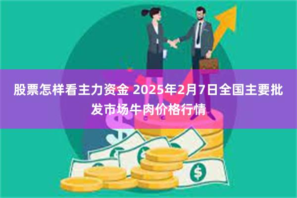 股票怎样看主力资金 2025年2月7日全国主要批发市场牛肉价格行情