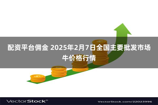 配资平台佣金 2025年2月7日全国主要批发市场牛价格行情