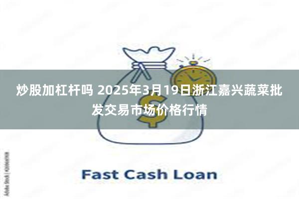 炒股加杠杆吗 2025年3月19日浙江嘉兴蔬菜批发交易市场价格行情